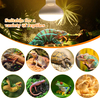 Reptile lamp R115 UV125W-F